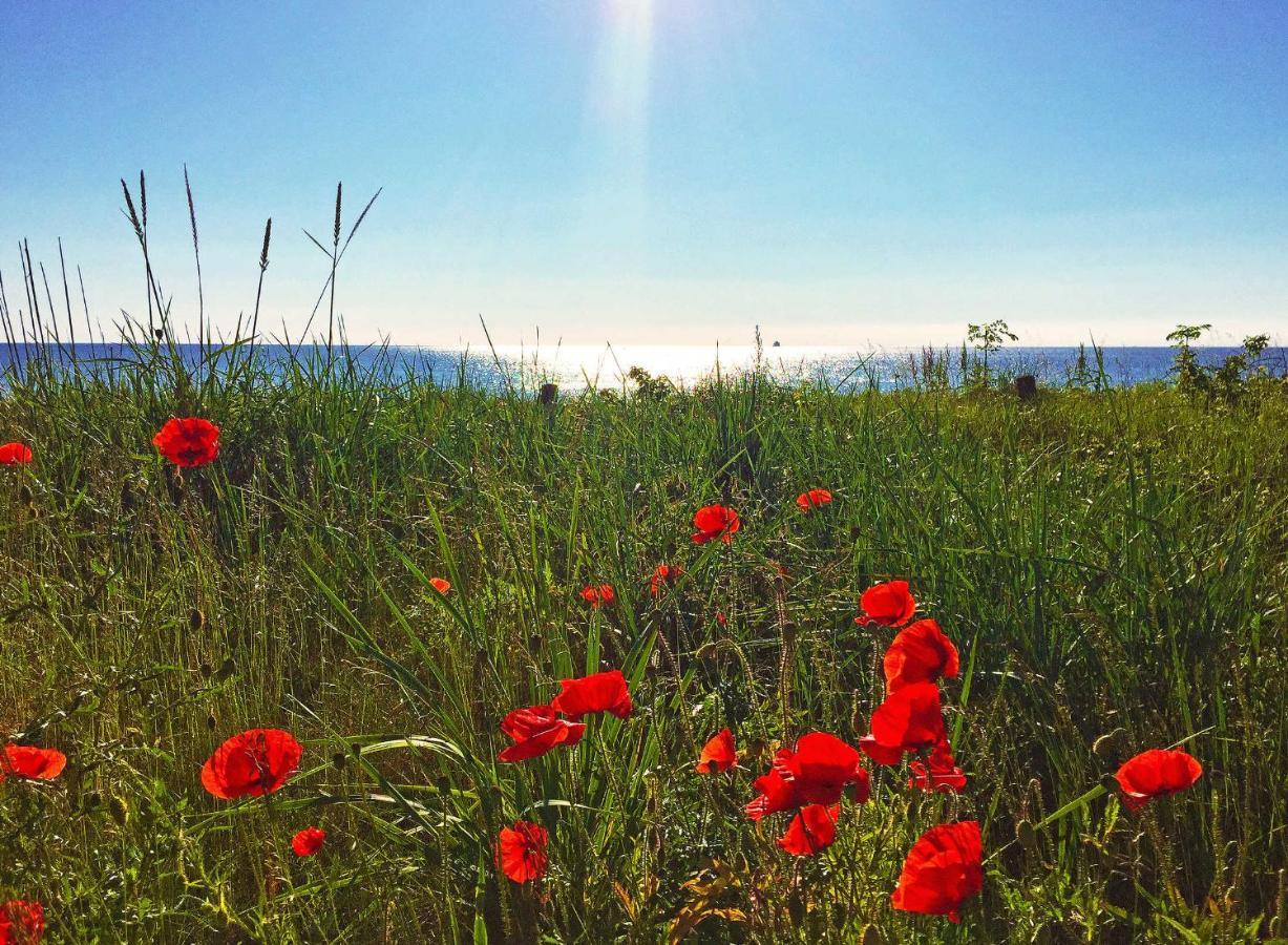 Strandresort Prora - Wg 114 Mit Meerblick Binz Exteriér fotografie